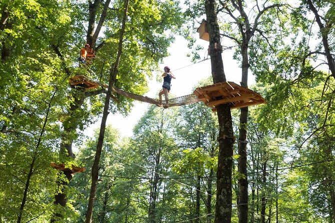 Adult Daily ticket for Adventure Park in Gravedona - The main experience: your “choose-your-adventure” day in the treetops