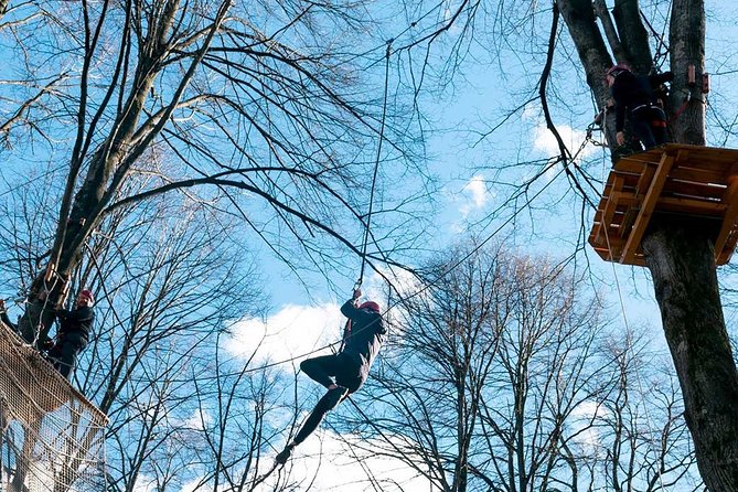 Adult Daily ticket for Adventure Park in Gravedona - Tickets, value, and time planning for the best payoff