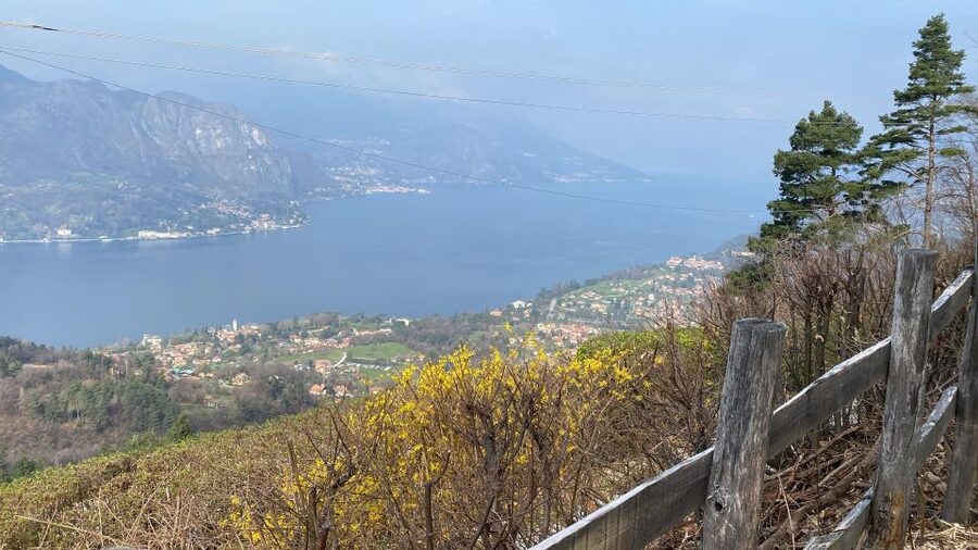Bellagio: Exclusive picnic at the agrofarm with scenic view - Why Bellagio’s agriturismo picnic feels different
