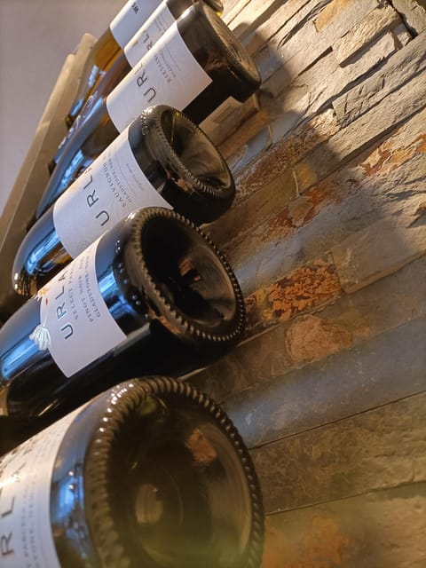 Como: Wine Tasting Experience with Cheese and Cold Cuts - Private tasting in the wine shop: when exclusivity is worth it