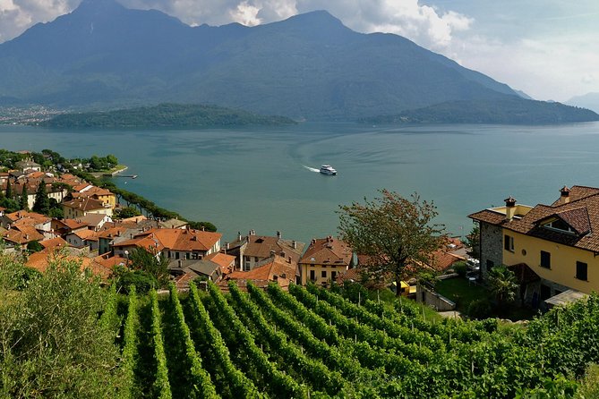 Domaso: Wine Tasting at the Winery on Como Lake - Price and value: what $76.22 is really buying you