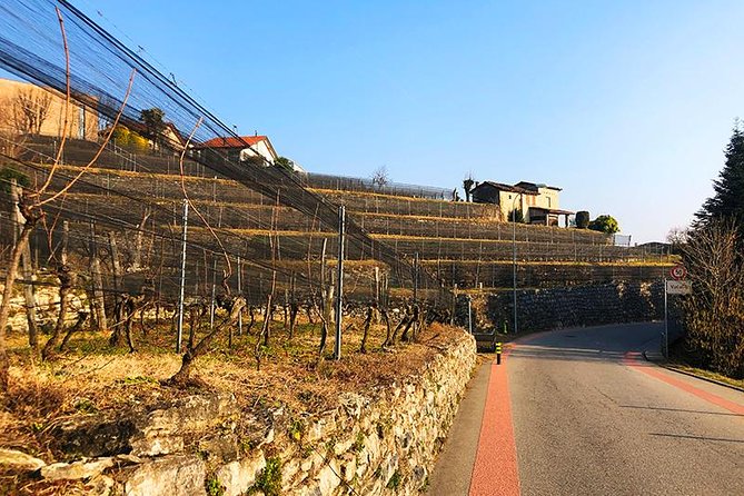 E-Bike Tour Lake Como and Swiss Vineyards - Vacallo and the Swiss-Border Merlot Vineyards: The “Different Country” Feeling