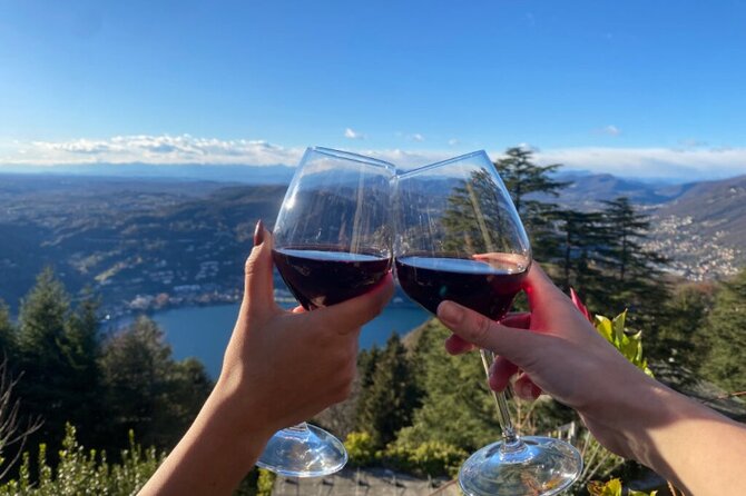 Exclusive wine tasting in Brunate - Key things to know before you go