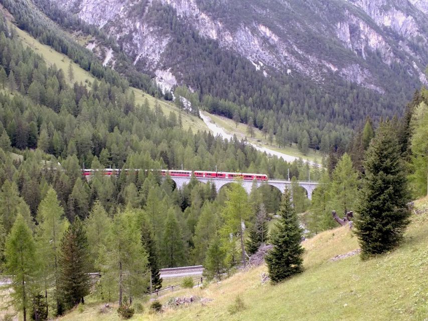 From Lake Como: Bernina Red Train Tour to St. Moritz - The Return Over Maloja Pass: Scenic Road Time on the Way Back