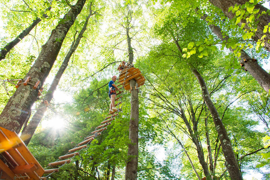 Lake Como Adventure Park Day Access - Why Lake Como Adventure Park is a standout “active day” in Lombardy
