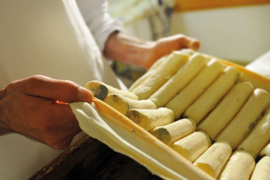 Lake Como: Cheese Factory Tour and Tasting in Valsassina - A cheese tour that actually teaches you what you’re eating