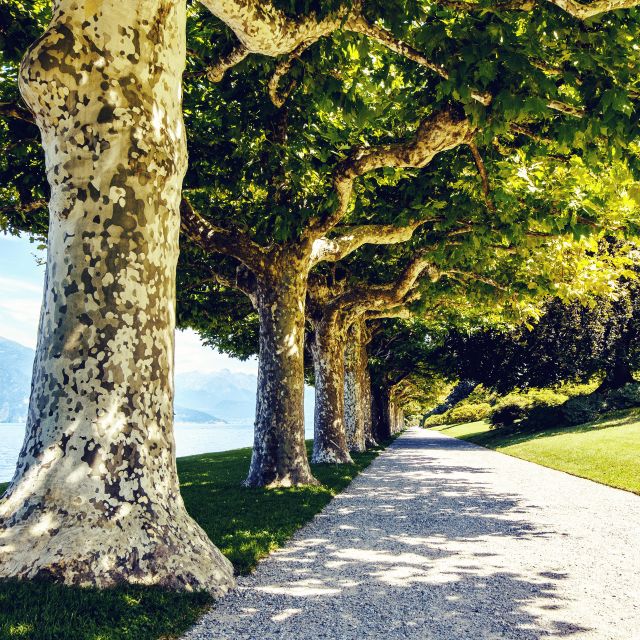 Lake Como: Lakeside Villas Entry Tickets with Ferries - What to pack: shoes and clothes matter more than you think