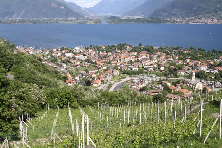 Lake Como: Winery Tour with Wine Tasting - Key highlights I think you should circle