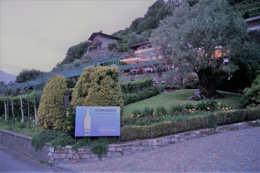 Lake Como: Winery Tour with Wine Tasting - Who This Works For (and Who Might Pass)