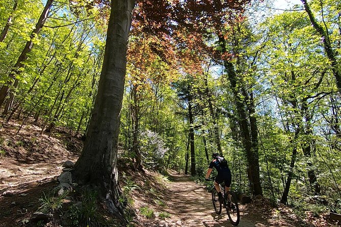 Mountain Bike tour in Spina Verde natural park - Key things to know before you ride in Spina Verde