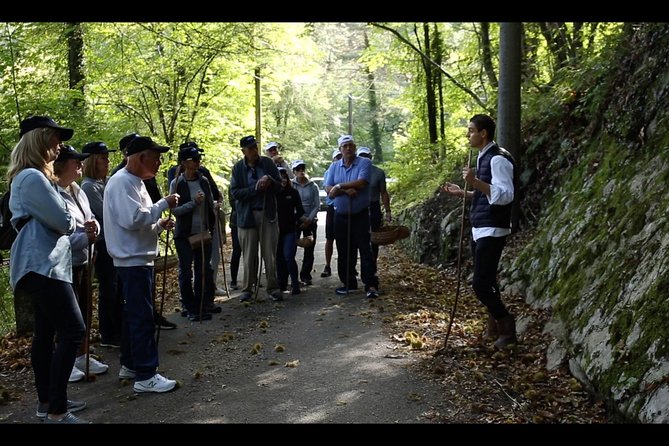 Mushroom or Truffle Hunting - Meet at Ristorante Salice Blu: The Starting Point That Sets the Tone