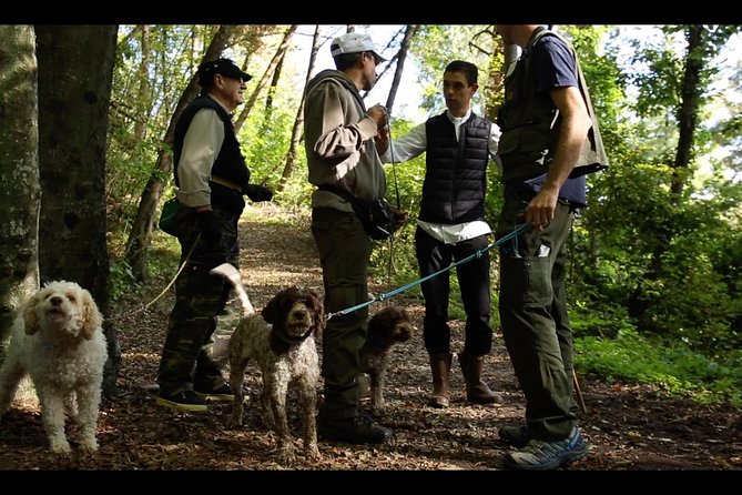 Mushroom or Truffle Hunting - Chef Luigi Gandola and Truffle Dogs: The Real Talent Behind the Hunt