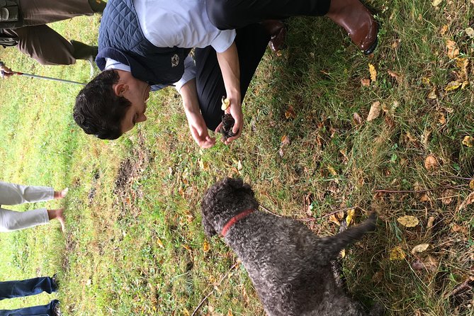 Private Hunting Of Truffle And Mushrooms With Chef Luigi Gandola In Bellagio - Wine Pairing and the Pace of a 4-Hour Day