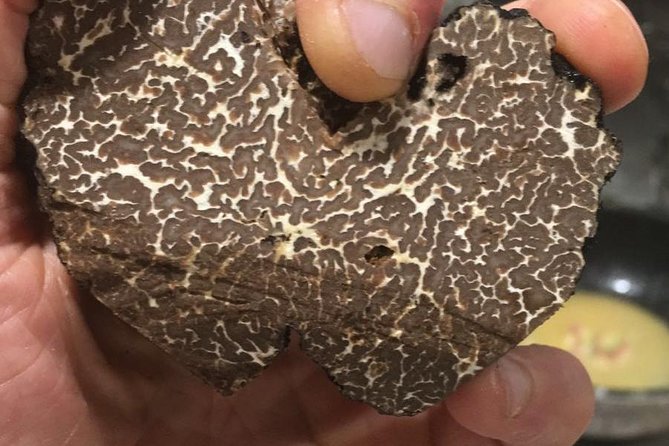 Private Hunting Of Truffle And Mushrooms With Chef Luigi Gandola In Bellagio - Price and Value: Is $771.36 Per Person Fair?