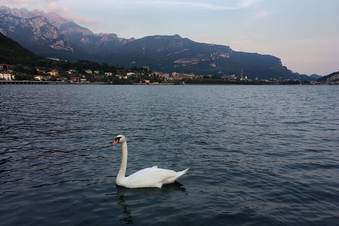 Sailing at Sunset on Lake Como: How to escape from daily routine - The mid-lake swim and aperitivo: the part you’ll remember