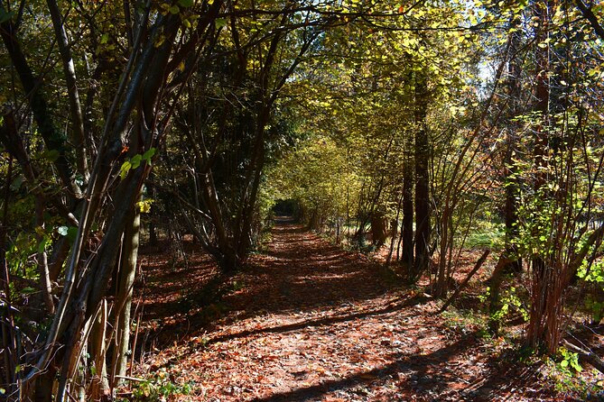 Val Senagra - The Enchanted Valley - Loveno Sopra Menaggio: the hamlet stop that sets the tone