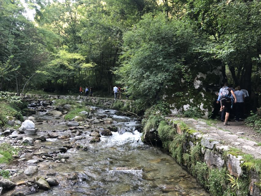 Val Senagra: The Enchanted Valley Tour - The sustainable trout and sturgeon farm: the owner-led visit