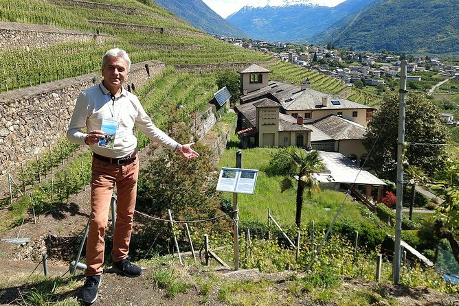 Wine and Food tasting PRIVATE Guided Tour - Price and value: $639.96 per group plus tasting costs